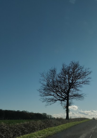 Espace Des Variétés, Ostéopathe à Champcevrais