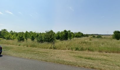 Justine Legrand, Ostéopathe Animalier 796, Ostéopathe à La Chapelle-Saint-Ursin