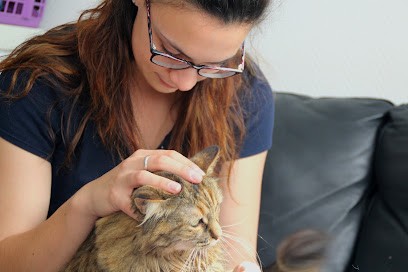 Morgane Marsollier - Ostéopathe Pour Animaux, Ostéopathe à Saint-Sulpice-des-Landes