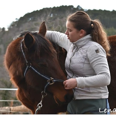 Maureen LANGOUËT Ostéopathe Animalier, Ostéopathe à Romagnat