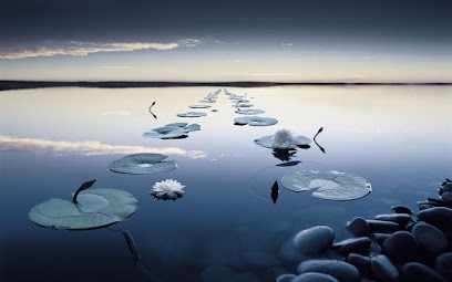 Ostéopathe Chaumes-en-Brie Pauline Pradelle, Ostéopathe à Chaumes-en-Brie