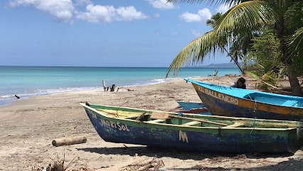 Cochez Katia, Ostéopathe à Sanary-sur-Mer