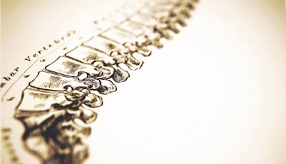 ostéopathe DO - Antoine MORVAN, Ostéopathe à Morlaix