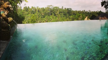 Eve Sinn-Béharelle Ostéopathe D.O., Ostéopathe à Wambrechies