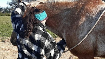 Maud Michaud Ostéopathe Animalier, Ostéopathe à Jouhet