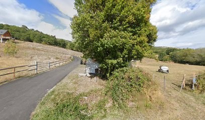 Lola Chabaud - Ostéopathie Animale - Ordre des Vétérinaires (OA115), Ostéopathe à Saint-Nectaire