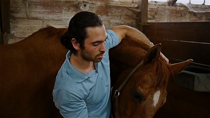 Léonard Cheyroux - Ostéopathe Animalier En Normandie (Équins, Chiens, Chats, Bovins, NACs) | Léostéo, Ostéopathe à Montmain