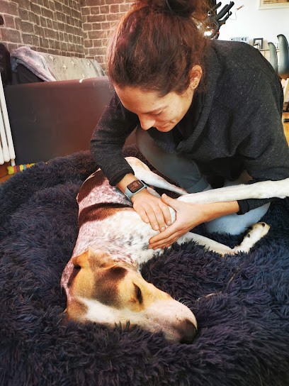 Salomé Becquart - Ostéopathe Animalier, Ostéopathe à Claix