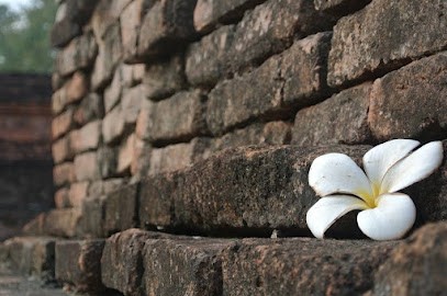 Lucile Edy, Ostéopathe Saint-Egrève, Ostéopathe à Saint-Égrève