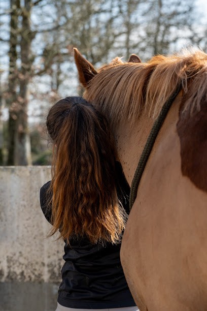Cabinet D'ostéopathie Animale Julie ROBIN, Ostéopathe à Montaigu