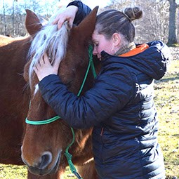 Ostéopathe Animalier Caroline Schlecht, Ostéopathe à Vaulx-en-Velin