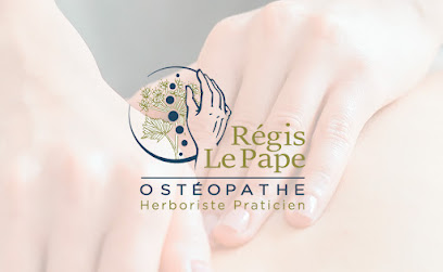 Régis Le Pape / Ostéopathe - Herboriste Praticien Ostéopathe à Plougasnou