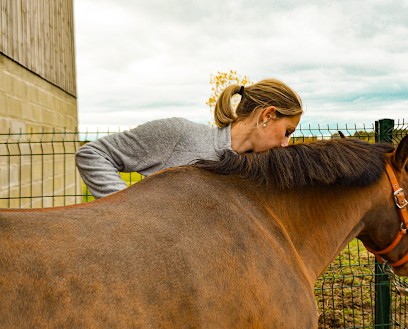 Agathe Béraud - Ostéopathe Animalier, Ostéopathe à Spay