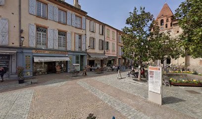 Pauline ALIET - Ostéopathe Equin & Canin, Ostéopathe à Moissac