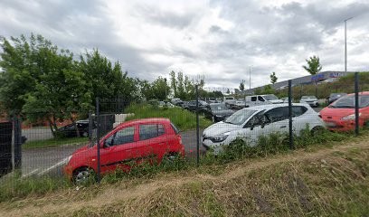 Blasco Guy, Ostéopathe à Ramonville-Saint-Agne