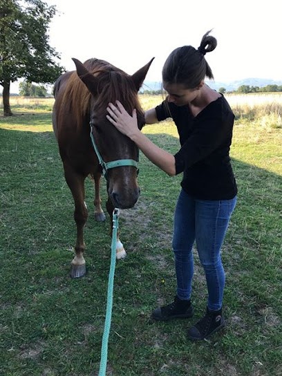 Jade Tardieu - Ostéopathie animale, Ostéopathe à Villages du Lac de Paladru