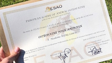 Laura Burg - Ostéopathe Animalier, Ostéopathe à Troyes