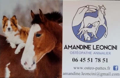 Leoncini Amandine Ostéopathe équin, Canin Et Félin, Ostéopathe à Chavannes