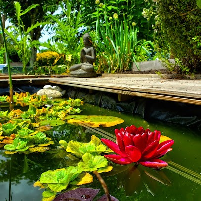 Conjeaud Remy, Ostéopathe à Cestas