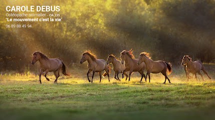 Carole Debus, Ostéopathe à Lanans