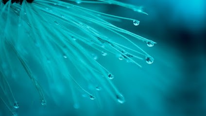 ✅ Ostéopathe ROYAN Paul CUENCA, Ostéopathe à Royan