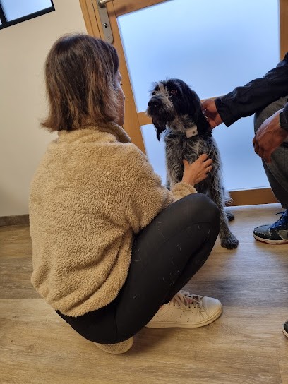 Charlotte ILLIANO - Ostéopathe Animalier, Ostéopathe à La Riche