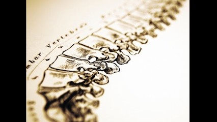 Lemoine Thomas, Ostéopathe à Villecomtal-sur-Arros