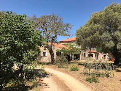 Audrey SIMONI, Ostéopathe D.O., Ostéopathe à Figari