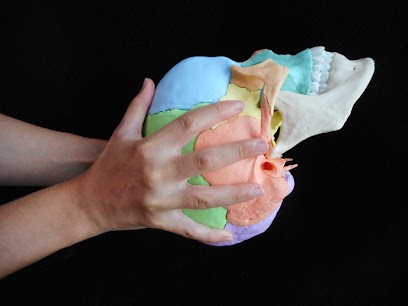 Fanny Humbert Ostéopathe Humains-Animaux, Ostéopathe à Drumettaz-Clarafond