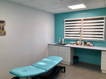 Icher Matthieu Ostepathe D.O, Ostéopathe à Solesmes