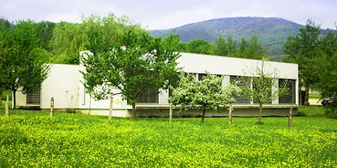 Litzler Anthony, Ostéopathe à Wattwiller