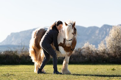 Mahé-Clara Hameury - Ostéopathe Animalier, Ostéopathe à Pourrières