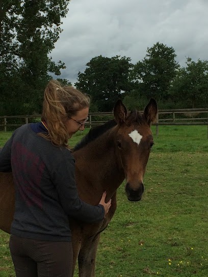 Pauline Ducousso - Ostéopathe Animalier Inscrite Au RNA OA24 (équin, Canin, Félin, Bovin, NAC ...) - Aube/ Grand Est, Ostéopathe à Val-d'Auzon