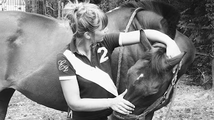 Chloé Lefort - Ostéopathe Animalier 0A 1043, Ostéopathe à Saint-Paul-les-Fonts