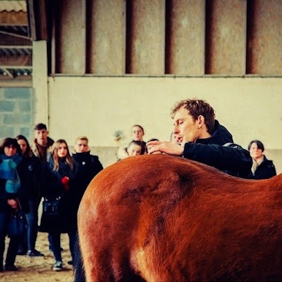 Rousselot Valentin Ostéopathe Pour Animaux (chevaux), Ostéopathe à Lamoura