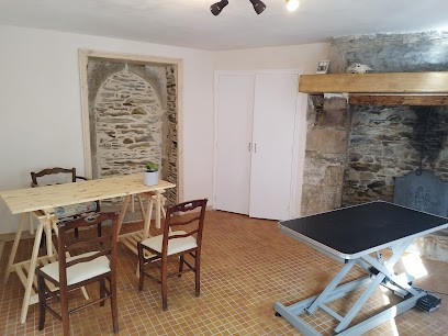 Korydwen Journaux Ostéopathe Animalier, Ostéopathe à Plestin-les-Grèves