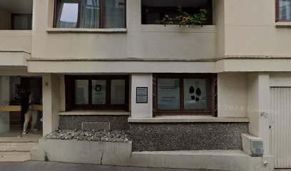 David Attias, Ostéopathe à Paris 12