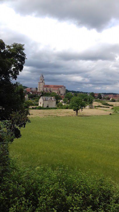 Tarquini Florian Osteopathe D.o. Professionnel De Santé, Ostéopathe à Martel