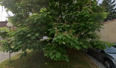 Cabinet d'ostéopathie Maurine ANIN - Savignac-Les-Eglises, Ostéopathe à Savignac-les-Églises