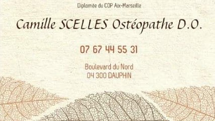 Camille SCELLES Ostéopathe D.O., Ostéopathe à Dauphin