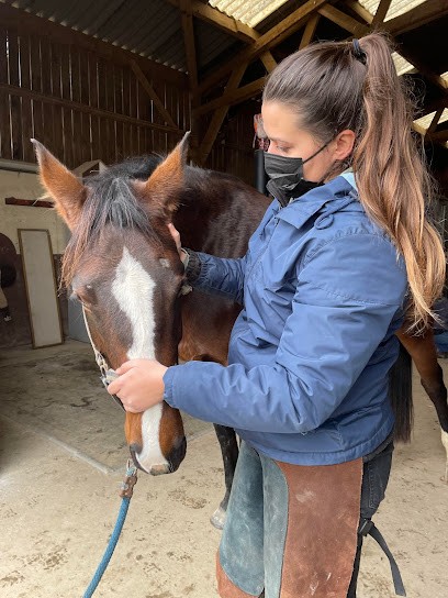 Maëlys Bizet Ostéopathe Animalier OA1271, Ostéopathe à Coullons