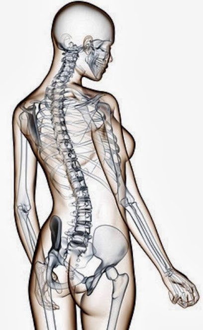 Malaurie GILBERT OSTEOPATHE DO Cabinet D'ostéopathie MOUXY, Ostéopathe à Mouxy
