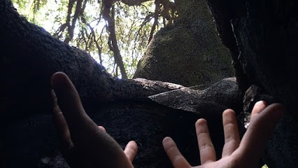 Poras Paul Clinique Tzanck Mougins, Ostéopathe à Mougins