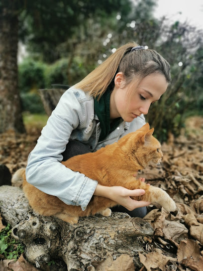 Gigot Marie-Amélie Ostéopathe Animalier Ostéopathe à Libourne