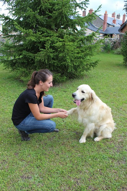 Marion Redon Ostéopathe Animalier, Ostéopathe à La Riche