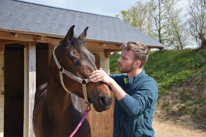 Jean Coquet - Ostéopathe Pour Animaux, Ostéopathe à Chavagne