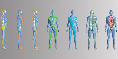 Vincent Mannessiez Osteopathe D.O. Et Chaînes Physiologiques, Ostéopathe à Chamalières