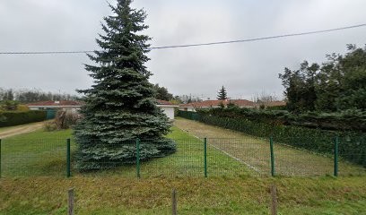 Florent Habert, Ostéopathe à Olivet