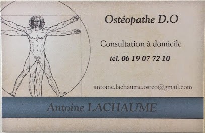 Antoine Lachaume - Ostéopathe D.O, Ostéopathe à Montamisé