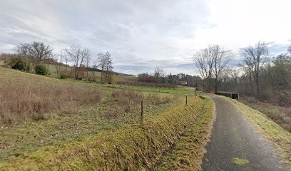 Roger Valerie Osteo Chien, Ostéopathe à Lamothe-Capdeville